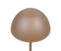 R55601165_1.jpg