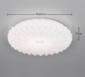 R64791101_d.jpg