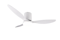 R64202131_1.jpg