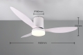 R64202131_d.jpg