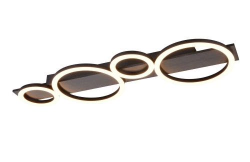 r64821109.jpg
