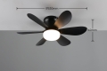 R67462132_d.jpg