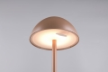R54106165_2.jpg