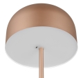 R49151165_3.jpg