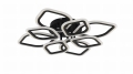 MS236180R-BK-1.jpg