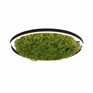 15392-66 GREEN RITUS LAMPA SUFITOWA NATURALNY MECH