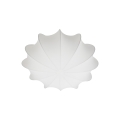 Aeron%202412226001_4.jpg