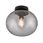 Sufitowa lampa szklana Alton 2010506047