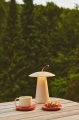 M%20Ara%202318245008_2.jpg
