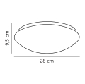 45356001-linedrawing.jpg