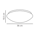 45386501-linedrawing.png