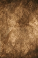 M%20Cardine%202312403001_4.jpg