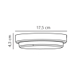 2019161003-linedrawing.jpg