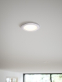 M%20Elkton%208%2047520101_3.jpg