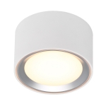 Oprawa typu downlight FALLON biały/satyna