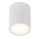 Oprawa typu downlight FALLON LONG