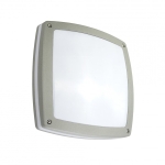 Lampa plafon / kinkiet Nex 91022-AL