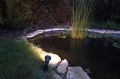 309ba6d01d87ebee47f092327219afe7.jpg