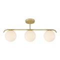 Grant%202010583035_1.jpg
