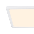 Harlow%20RGB%202110806101_3.jpg