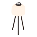 Kettle%202018035003_3.jpg