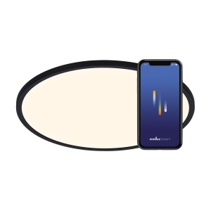 Lampa sufitowa OJA 29 SMART LIGHT SORT