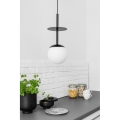 export.jpg
