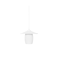 export.jpg
