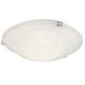 Petri%2092746001_1.jpg