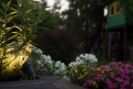 1a5262817efca1410825066dc0246607.webp