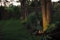 d036275ecee3a79eb51c19cc566ed29d.webp