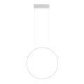 f35b8338ccfa73a3fd00c7a9365a4e20.webp
