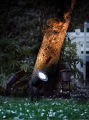M%20Spotlight%2020789903_2.jpg