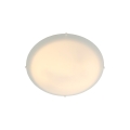Standard%20Maxi%202410256001_1.jpg