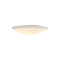 Standard%20Maxi%202410256001_3.jpg