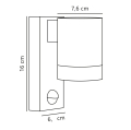 21509103-linedrawing.jpg