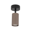 16146_TUNE_BROWN_W.jpg