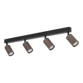 16149_TUNE_BROWN_A.jpg
