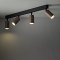 16149_TUNE_BROWN_B1.jpg