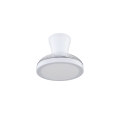18198_BREEZE_WHITE_P.jpg
