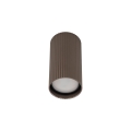 11027_TUNE_BROWN_S_P.jpg