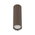 11028_TUNE_BROWN_M_P.jpg