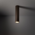 11029_TUNE_BROWN_L_B1.jpg
