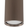 11029_TUNE_BROWN_L_D.jpg