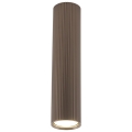 11029_TUNE_BROWN_L_O.jpg