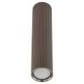 11029_TUNE_BROWN_L_P.jpg