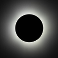 10958_LUNA_GREEN_B.jpg