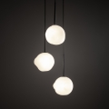11018_MISTY_B1.jpg