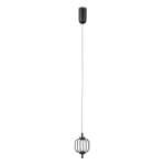 Pedro - Lampa wisząca PND-34405-1-BK
