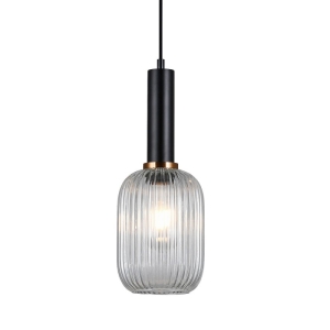 Antiola - Lampa wisząca PND-5588-1M-BK+CL